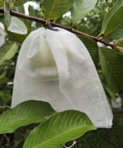 Túi bọc trái cây kích thước 16x 20cm (ổi,cam,...)